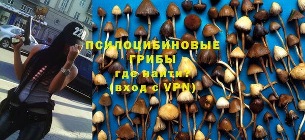 прущие крисы Михайловка
