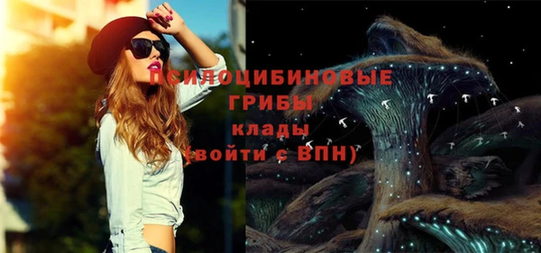 spice Медногорск