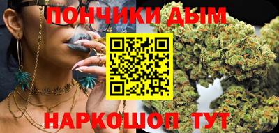 дурь Камышлов