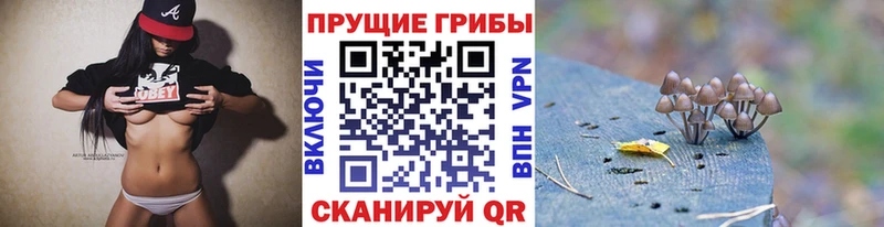 Псилоцибиновые грибы MAGIC MUSHROOMS hydra онион Нарьян-Мар