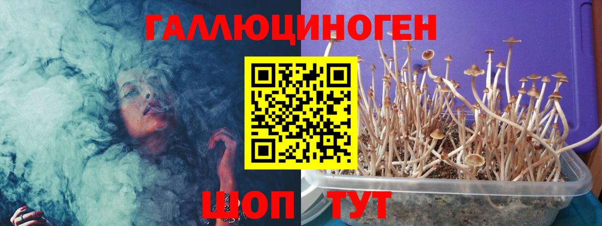 Нарьян-Мар  Галлюциногенные грибы мицелий  Вход с VPN 
